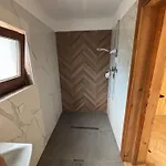 Din Padure Si Casutele Din Copac Belis