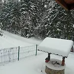 Din Padure Si Casutele Din Copac Belis * Kluż-Napoka