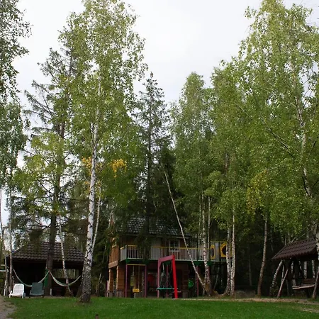 Din Padure Si Casutele Din Copac Belis Dom wakacyjny