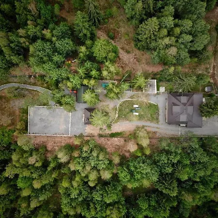 Dom wakacyjny Din Padure Si Casutele Din Copac Belis *