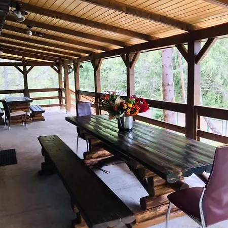 Tatil Evi Din Padurea Belis Si Casuta Din Copac