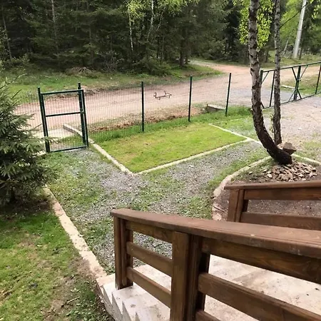 Din Padurea Belis Si Casuta Din Copac