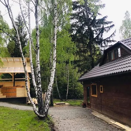 Dom wakacyjny Din Padure Si Casutele Din Copac Belis *
