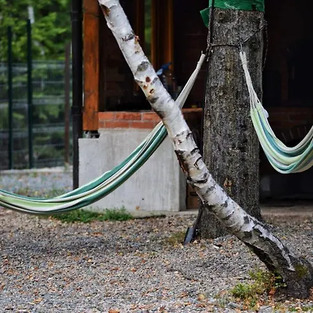 Dom wakacyjny Din Padure Si Casutele Din Copac Belis *