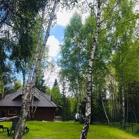 Din Padure Si Casutele Din Copac Belis Semesterbostad *