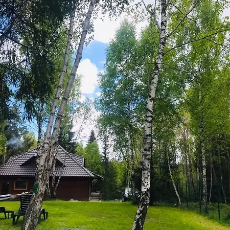 Din Padurea Belis Si Casuta Din Copac Tatil Evi *