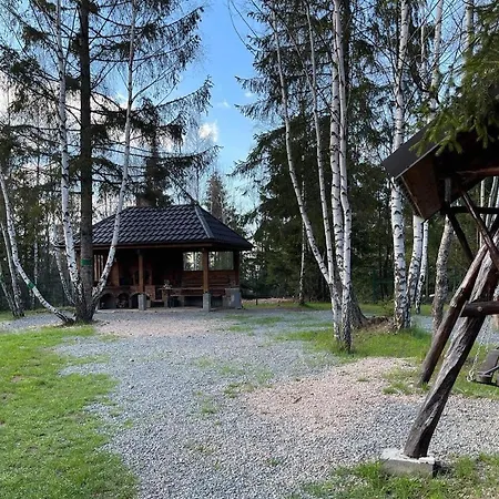 Din Padurea Belis Si Casuta Din Copac Tatil Evi Kaloşvar