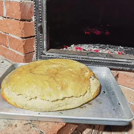 Dom wakacyjny Din Padure Si Casutele Din Copac Belis Kluż-Napoka