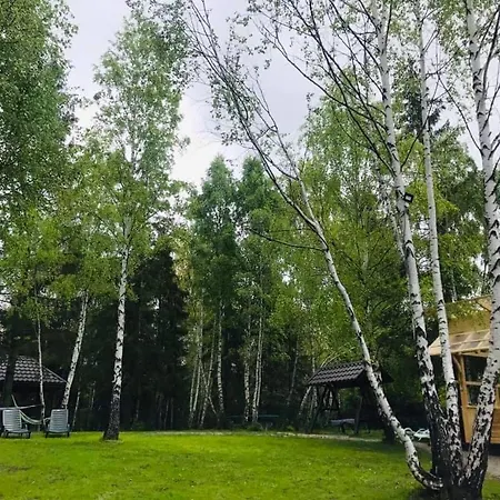 Din Padurea Belis Si Casuta Din Copac Tatil Evi Kaloşvar