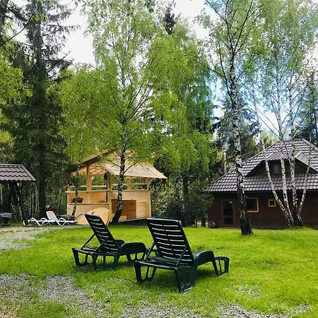 Din Padure Si Casutele Din Copac Belis