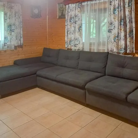 Tatil Evi Din Padurea Belis Si Casuta Din Copac