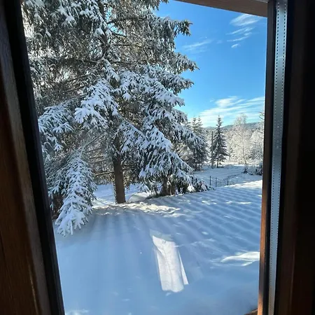 Semesterbostad Din Padure Si Casutele Din Copac Belis