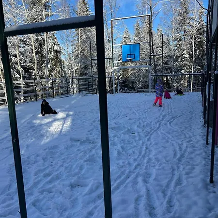 Semesterbostad Din Padure Si Casutele Din Copac Belis *