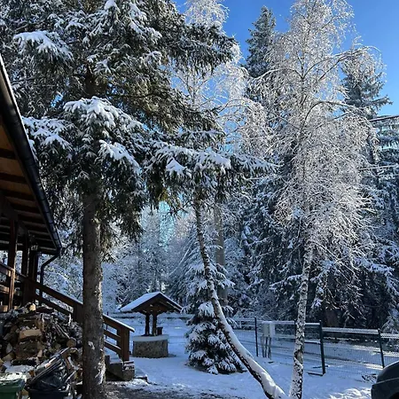 Din Padure Si Casutele Din Copac Belis 克卢日-纳波卡