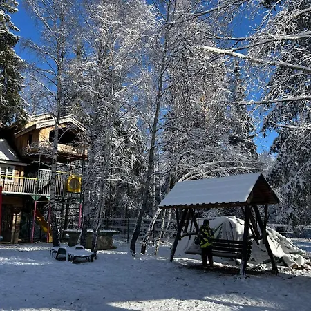 Din Padurea Belis Si Casuta Din Copac Tatil Evi