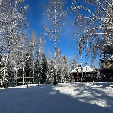 Din Padure Si Casutele Din Copac Belis Cluj-Napoca