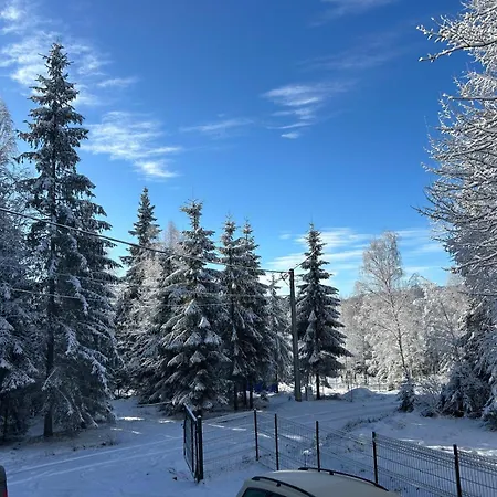 Tatil Evi Din Padurea Belis Si Casuta Din Copac