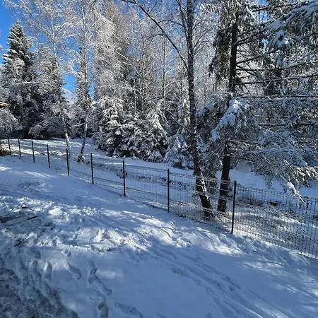 Din Padure Si Casutele Din Copac Belis Semesterbostad *