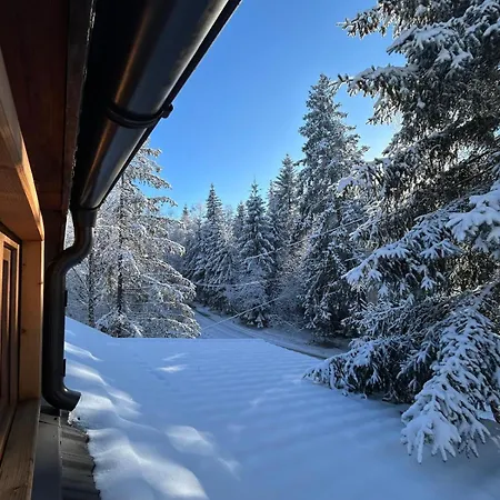 Tatil Evi Din Padurea Belis Si Casuta Din Copac Kaloşvar