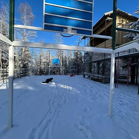 Din Padure Si Casutele Din Copac Belis *