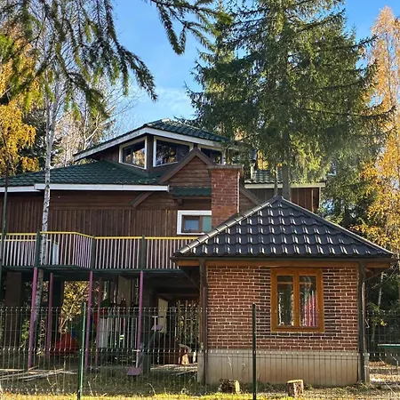 Vakantiehuis Din Padure Si Casutele Din Copac Belis