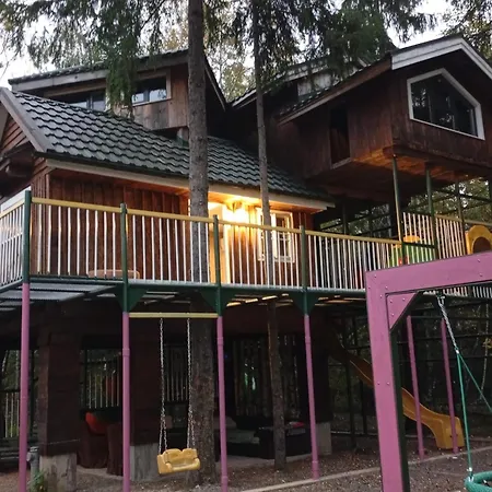 Din Padure Si Casutele Din Copac Belis * Cluj-Napoca