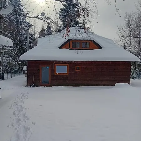 Semesterbostad Din Padure Si Casutele Din Copac Belis