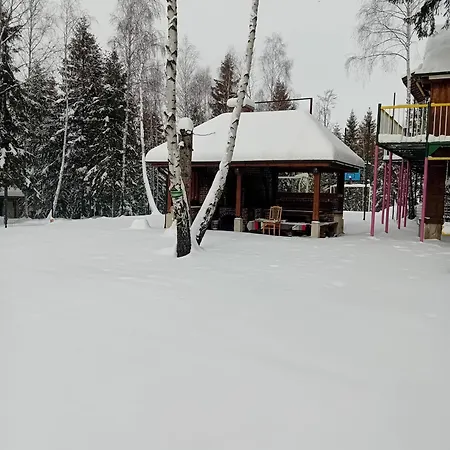 Din Padure Si Casutele Din Copac Belis