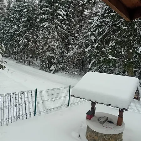 Din Padure Si Casutele Din Copac Belis * Cluj-Napoca