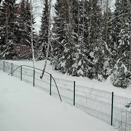 Din Padure Si Casutele Din Copac Belis Сasa de vacaciones *
