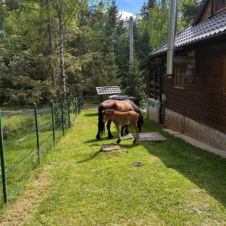 Сasa de vacaciones Din Padure Si Casutele Din Copac Belis