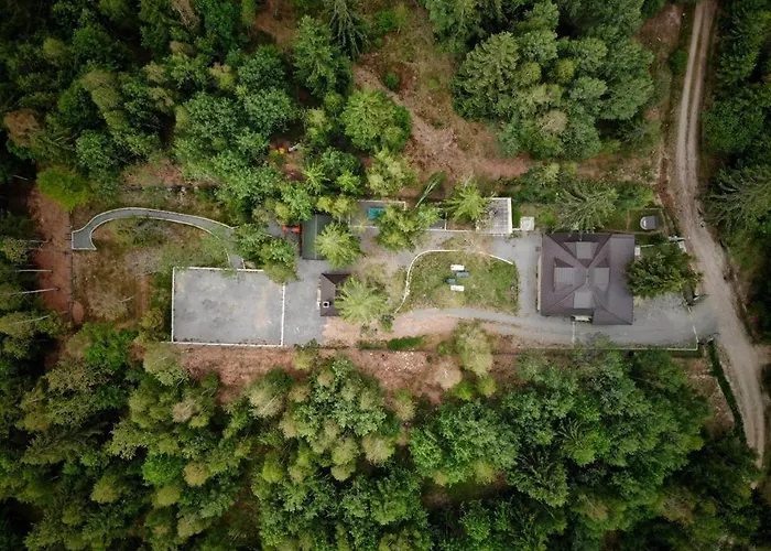 Holiday home Din Padure Si Casutele Din Copac Belis *