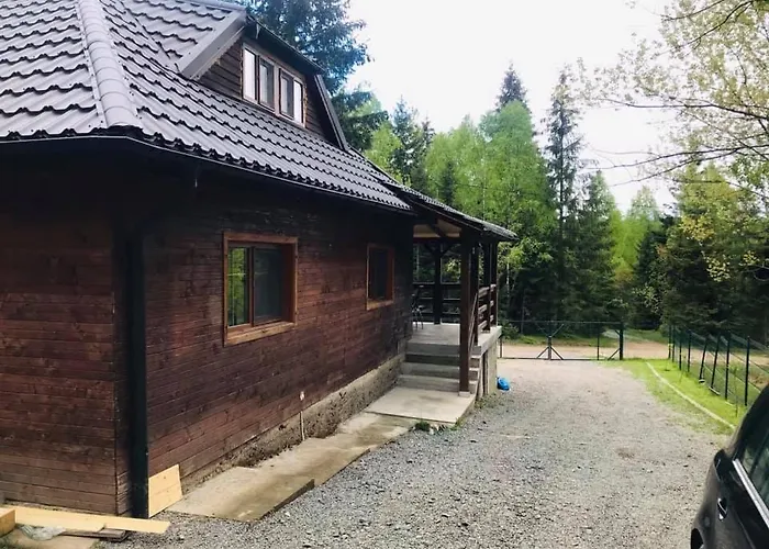Din Padure Si Casutele Din Copac Belis Kluż-Napoka