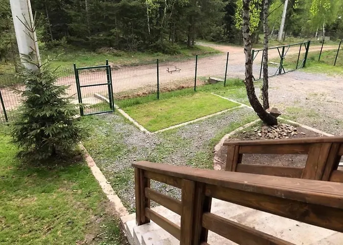 Din Padure Si Casutele Din Copac Belis