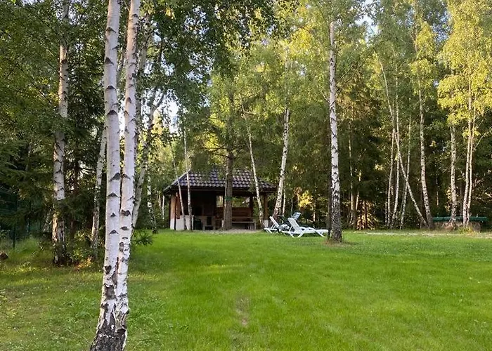 Din Padure Si Casutele Din Copac Belis