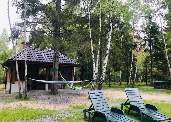 Din Padure Si Casutele Din Copac Belis Dom wakacyjny