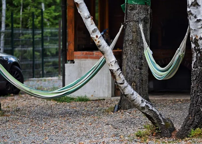 Dom wakacyjny Din Padure Si Casutele Din Copac Belis *