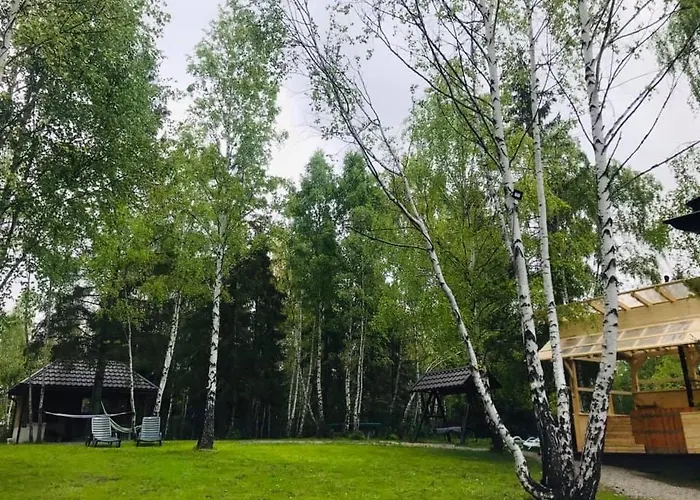 Din Padure Si Casutele Din Copac Belis Holiday home Cluj-Napoca