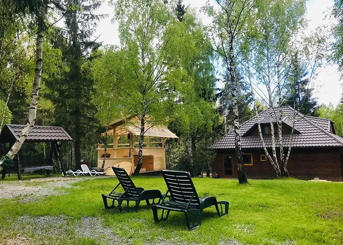 Din Padure Si Casutele Din Copac Belis