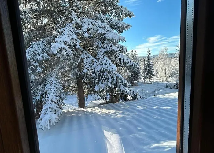 Dom wakacyjny Din Padure Si Casutele Din Copac Belis