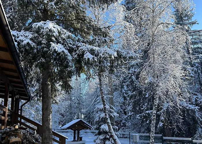 Din Padure Si Casutele Din Copac Belis Cluj-Napoca