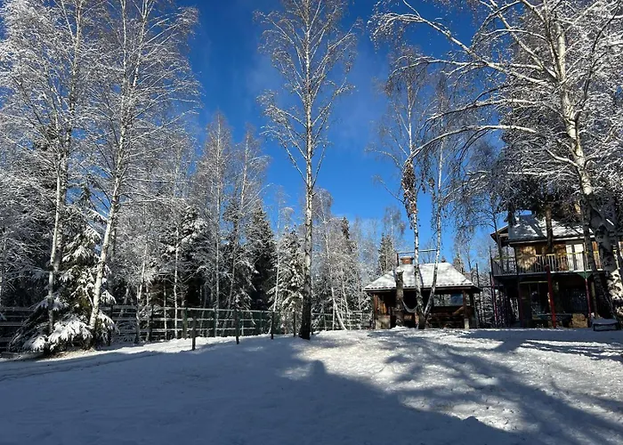 Din Padure Si Casutele Din Copac Belis Cluj-Napoca
