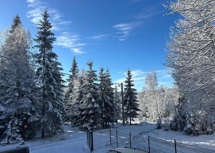 Vakantiehuis Din Padure Si Casutele Din Copac Belis