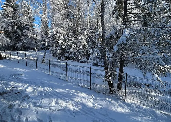 Din Padure Si Casutele Din Copac Belis Vakantiehuis *