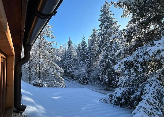 Vakantiehuis Din Padure Si Casutele Din Copac Belis Cluj-Napoca