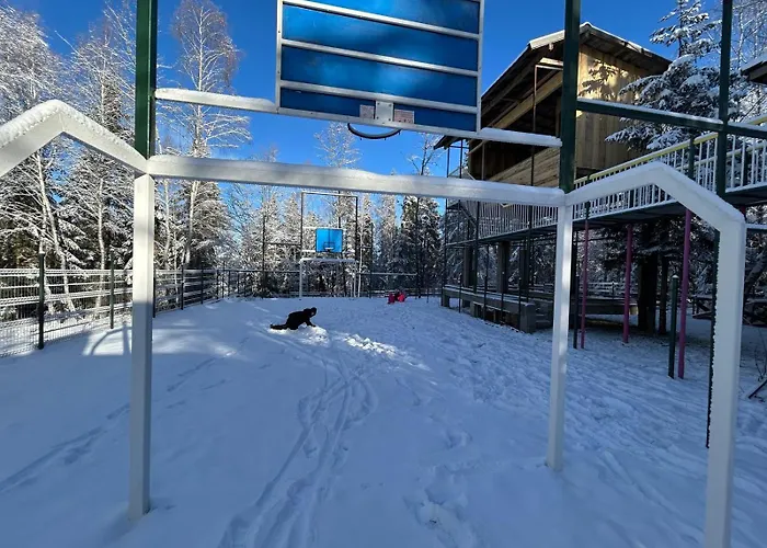 Din Padure Si Casutele Din Copac Belis *