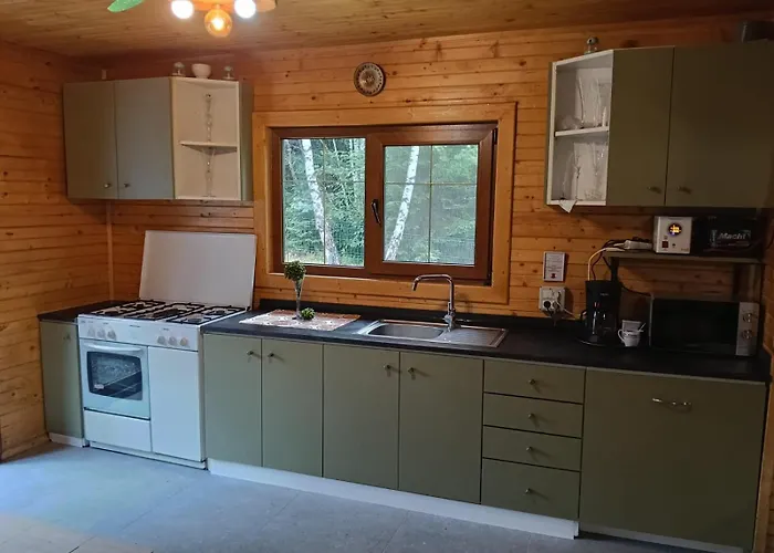 Vakantiehuis Din Padure Si Casutele Din Copac Belis