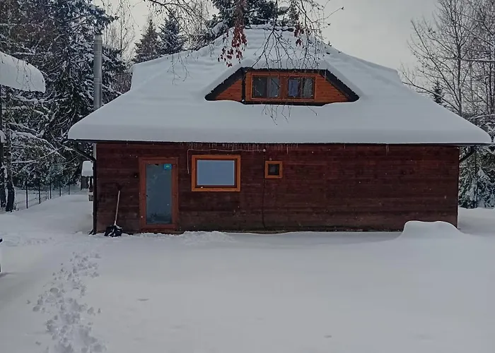 Vakantiehuis Din Padure Si Casutele Din Copac Belis