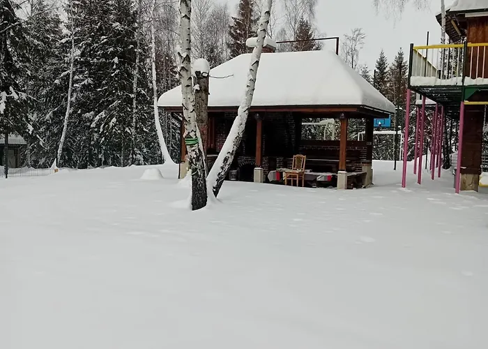 Din Padure Si Casutele Din Copac Belis