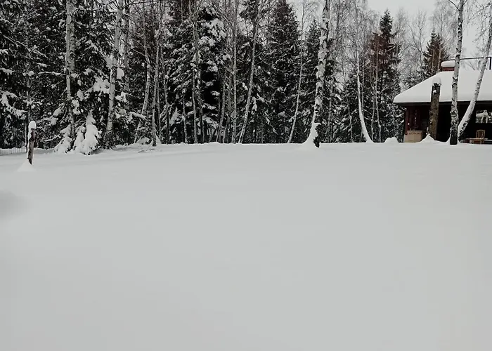 Vakantiehuis Din Padure Si Casutele Din Copac Belis *